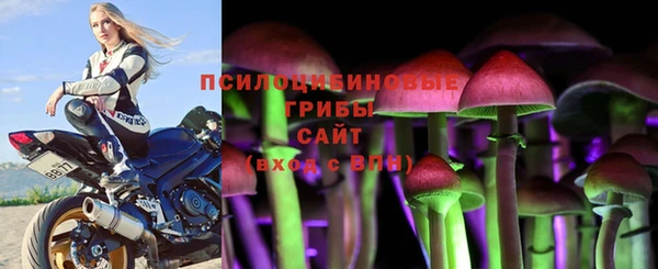 мдма Медногорск