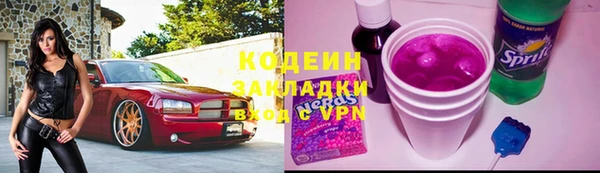крисы Магас
