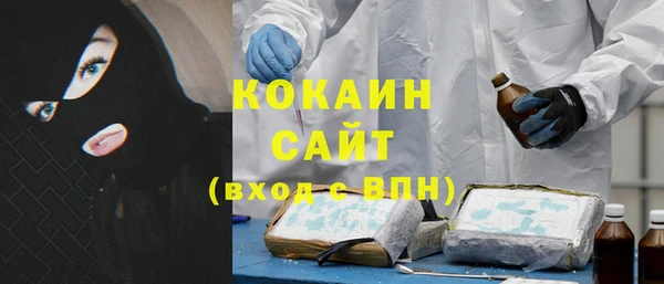 хмурый Мегион