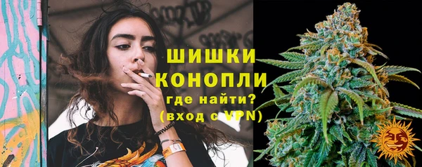 хмурый Мегион