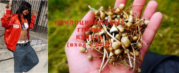 прущий лед Майский