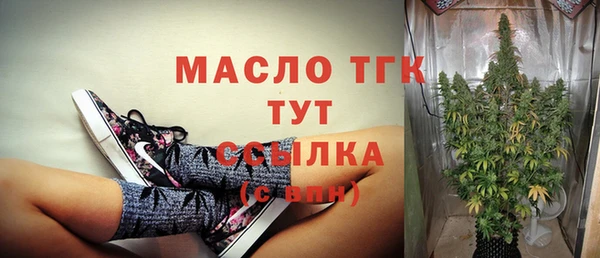 хмурый Мегион