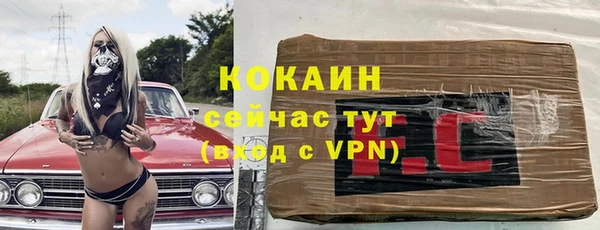 хмурый Мегион