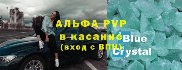 крисы Магас
