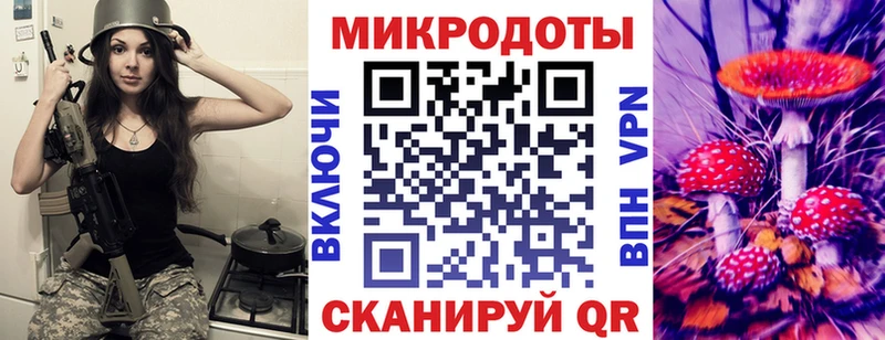 Купить где  Заозёрск  Псилоцибиновые грибы Cubensis 